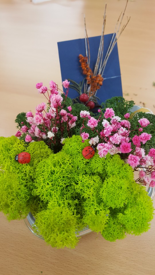 1f2c8edd6c53586df278801240fb6a5d_1525063