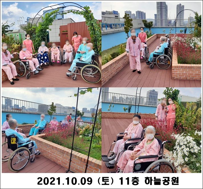 c3cf7a298a44e848cbcf56f49538cc56_1634091