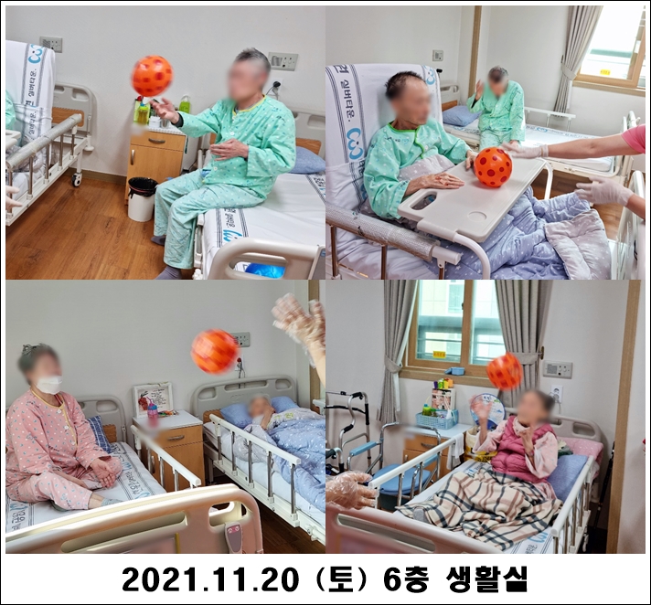 856af35407d585193900a9cec227704d_1637560