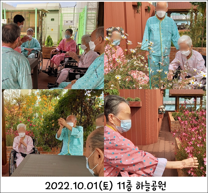 d797eddfd2ad6c7567cb1c62610377b8_1665105