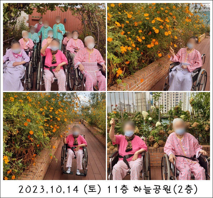 261d942f659bcb71922a82c3149f6785_1701328