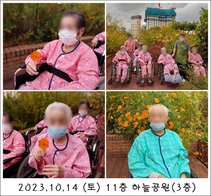 261d942f659bcb71922a82c3149f6785_1701328