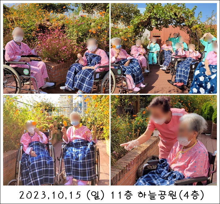 261d942f659bcb71922a82c3149f6785_1701328