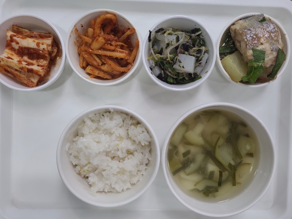 08470276f954c59ab0e8cd9d177e9f2c_1706750