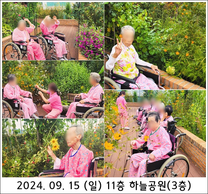 1cb6558757955ae1e08b7fa7285c6137_1726816