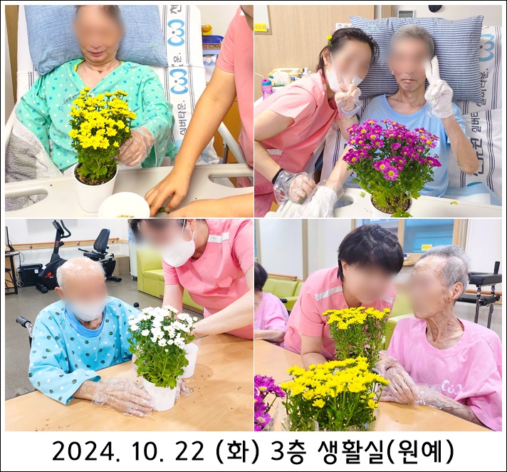 76eececbf378366abd7d70e64764bd2c_1729816