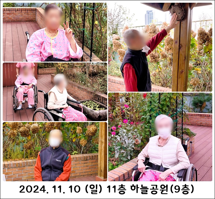 2a5cd1cd524481f5d20b4bfa69b3e461_1731556