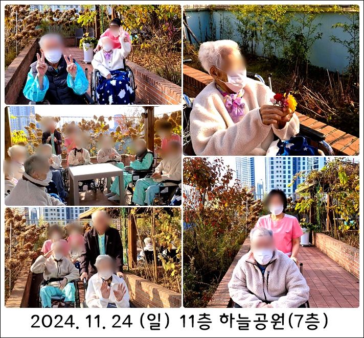 a31d2009106511e242e45dde2ad31c5a_1732672