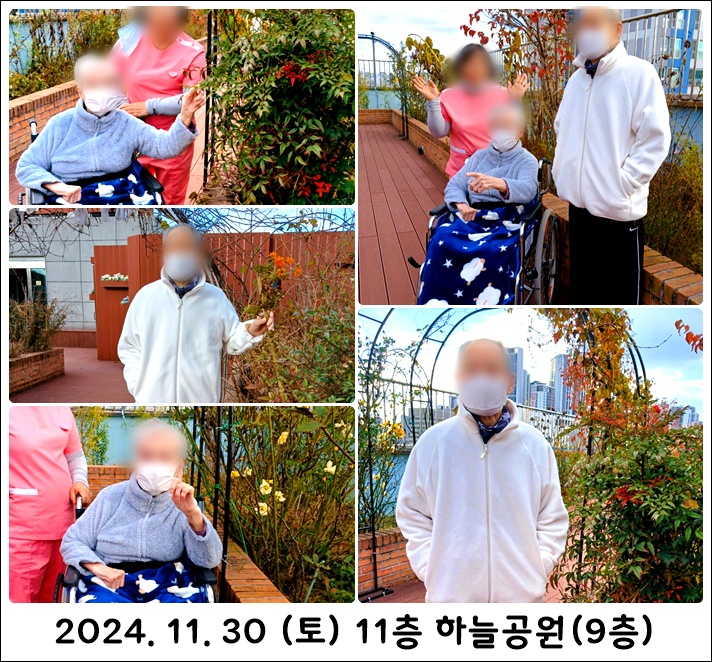 39e6178001f4d1ff502b5ede829f8c38_1733279