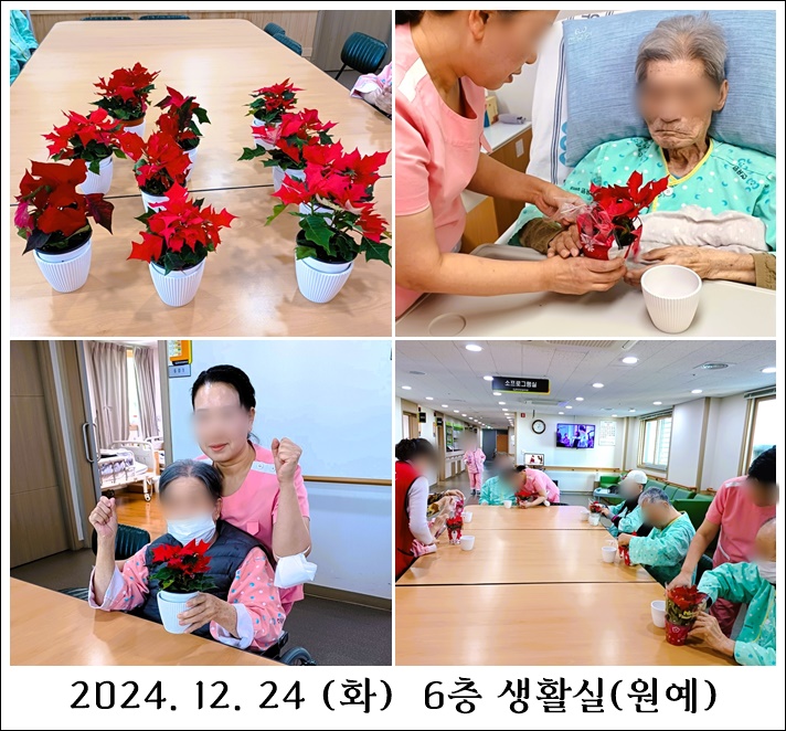 d89a3dbe36418486d43879c0adeb4f42_1735257