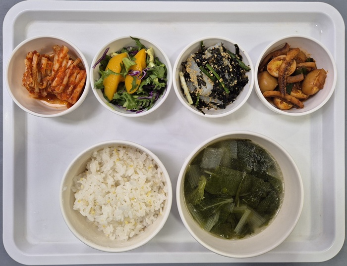 a43a8a28afcea72c5e793694bedd682c_1741234