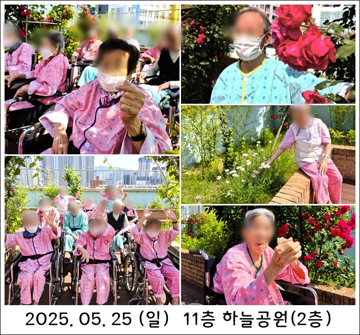 2497052d416993157c1e0ab26b965d8f_1748304