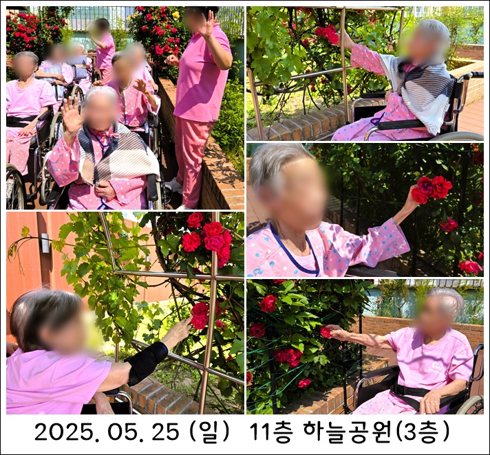 2497052d416993157c1e0ab26b965d8f_1748304