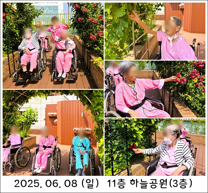 2f7d7700831e2f567927799b8dc76767_1749689