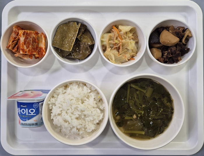 1729011fd76cb379359b2583704b0506_1765176