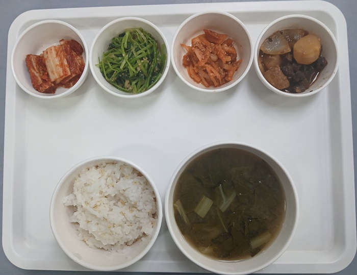 1729011fd76cb379359b2583704b0506_1765265