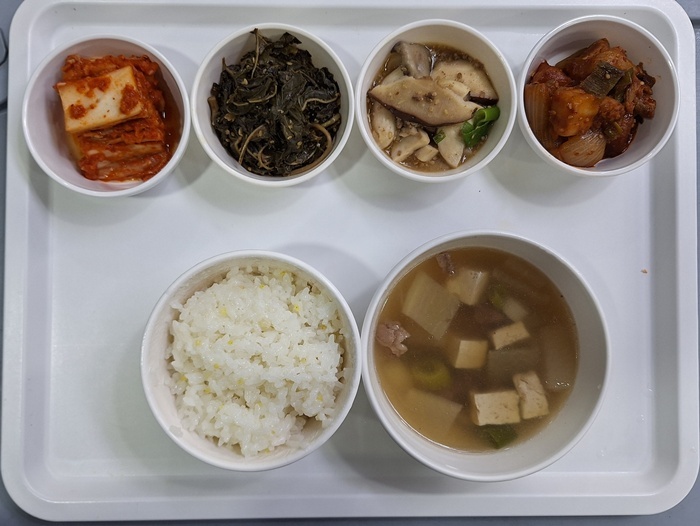 19313ab010c288c8294bd39bea3c0495_1767058