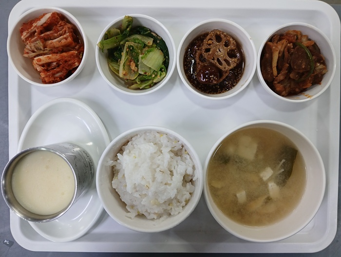 07ee41281e8dc2580bb0aae03271441e_1771983