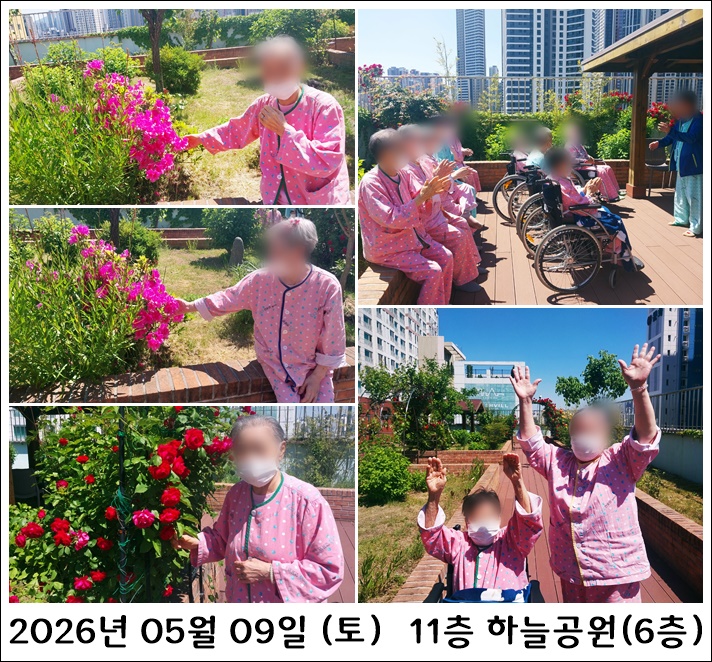 d29dc87bcbf6ae067a1f5e28bf24b68a_1779865