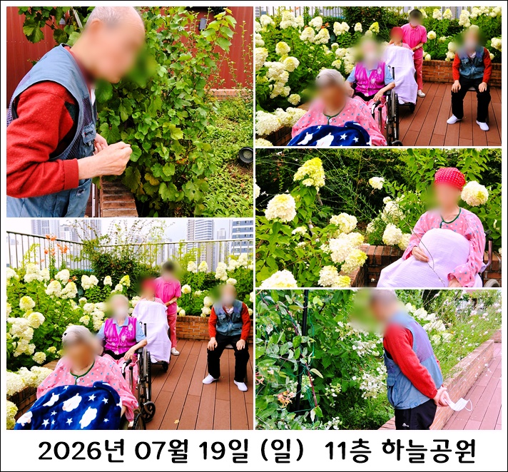 924099e0219b73c35d1dadfc4c574622_1785222